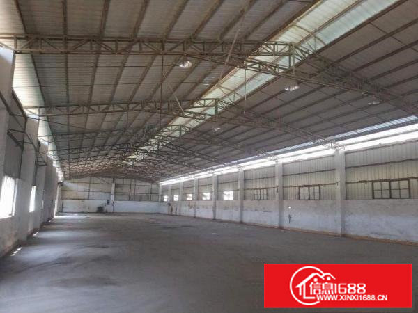 出租桥头镇邓屋广场附近钢构单一层厂房1500方好招工