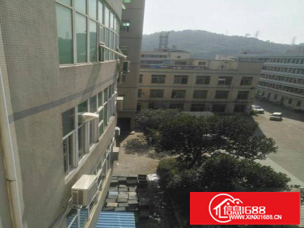 平湖辅城坳工业区厂房，仓库一楼600平米急租