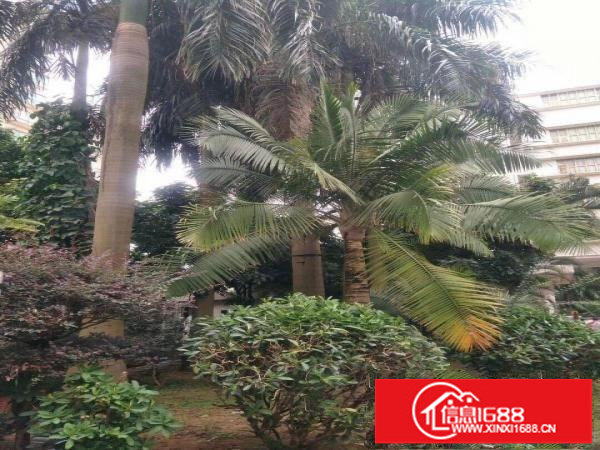 丹竹头地铁站旁立信路91号厂房160平米招租