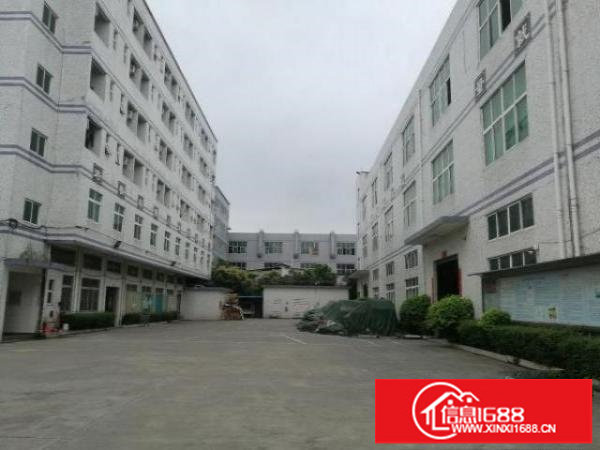 龙岗坪地原房东厂房适合高新产业电子贸易科技医疗研发等