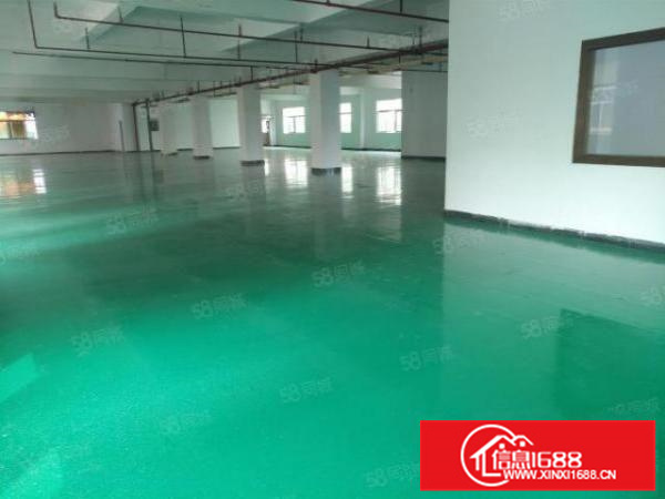 有证，可办环评，均安独院3600方带办公装修厂房，形象好！