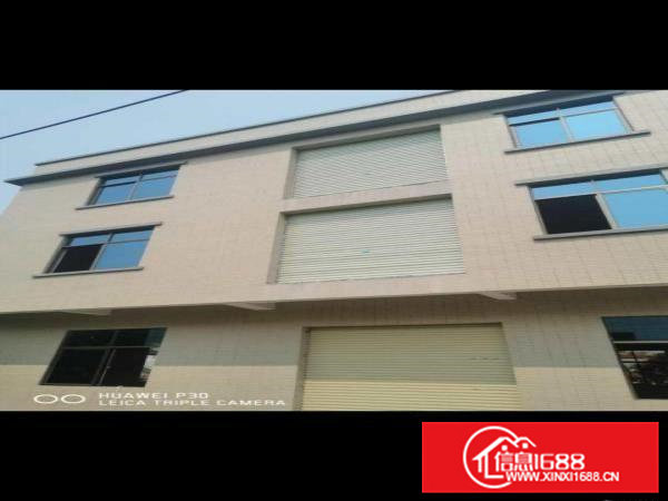 全新装修电梯厂房！业主直租