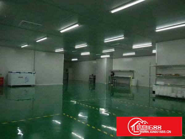 科苑城工业区标准千级无尘车间大小可分租