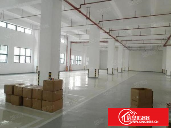 证件齐全，容桂5000方标准厂房，可分租形象好