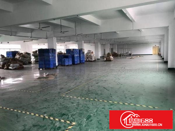 坑梓全新装修标准独院红本厂房6950平米诚租