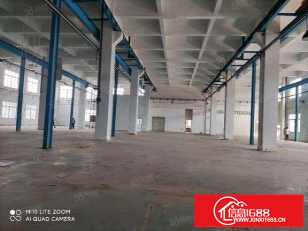 虎门新出自带行车，楼高9米的独院厂房出租，空地大，环境好