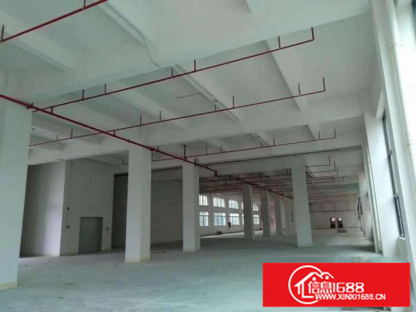 10000方原房东高大上独院厂房