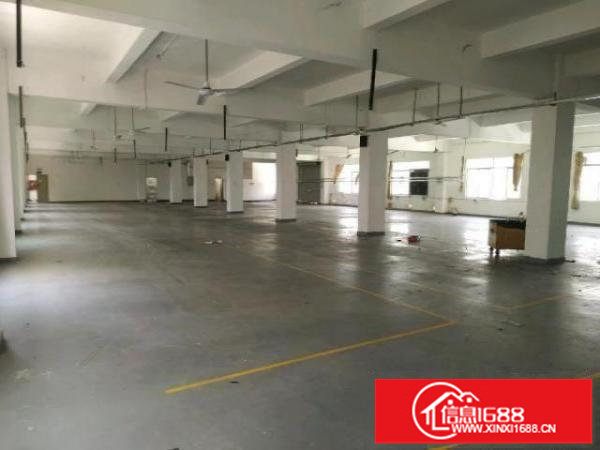 龙岗南联厂房出租500平有装修办公室地坪漆