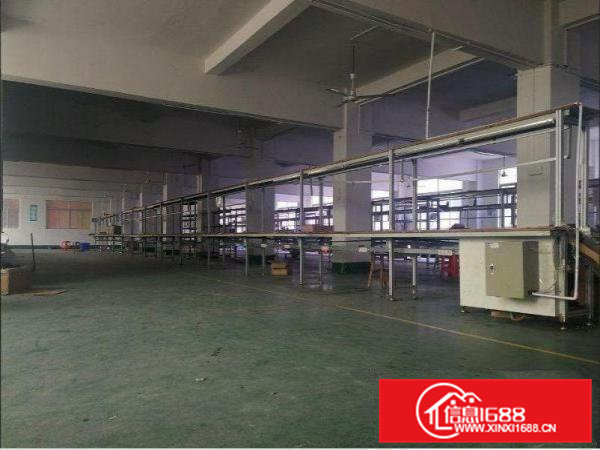 青皇一楼标准楼房500平方米出租，无公摊，水电齐全