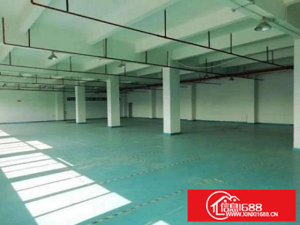 坑梓红本产业园厂房800平方出租带消防喷淋可办环评