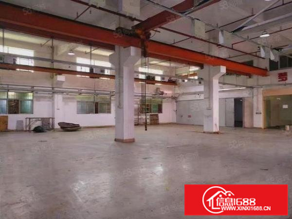 凤岗金凤凰新出一楼标准厂房1200平，6.5高带牛角拎包入住