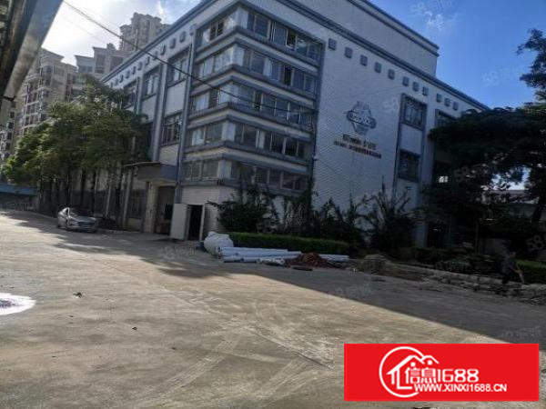 茶山原房东标经典独院厂房13层4700，带消防喷淋，