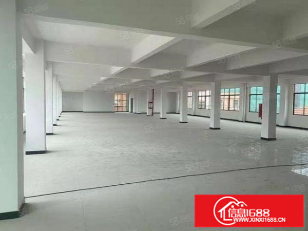 寮步西溪原房东带红本实际面积1650平全新厂房出租