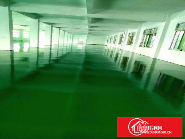 茶山周边无尘车间1500平方招租全新地坪漆