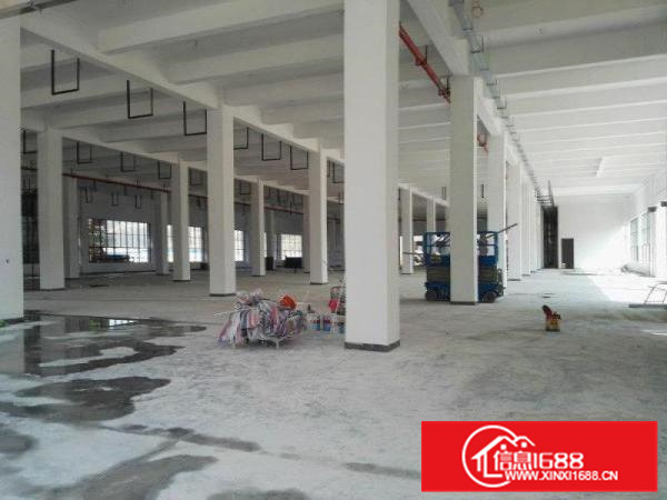 出租惠阳新墟一楼5米高厂房1500平