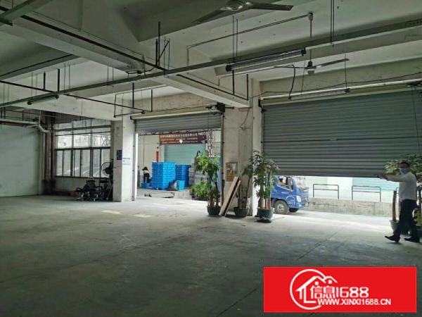 出租！坂田下雪300-1000平带装修物流仓库园