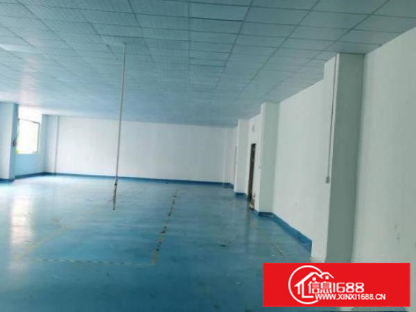 金凤凰楼上1200平出租