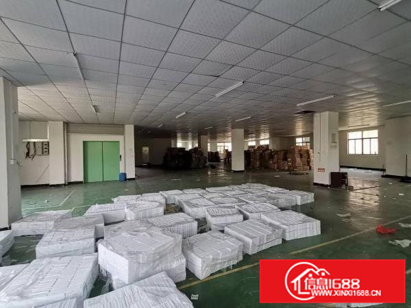 大岭山厚大路附近楼上整层850平带精装修厂房出租可办环评