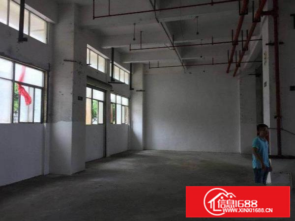 沙头南区一楼300平带办公室厂房招租水电到位