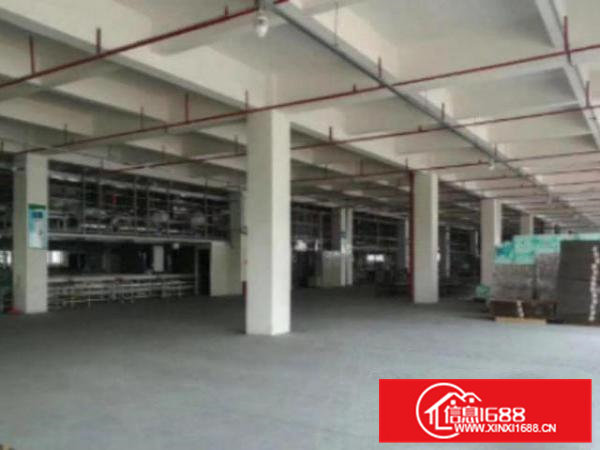 高埗独院标准厂房6000平方宿舍2200平方出租