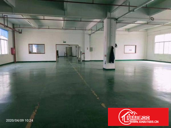 金凤凰新出楼上一整层厂房1600平方水电齐全，豪华装修办公室