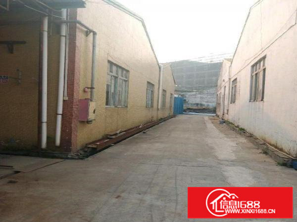 寮步新出钢构厂房出租