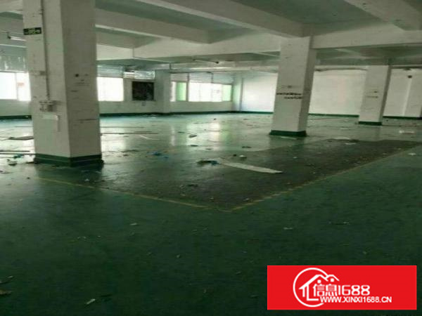 深圳平湖高速出口6600独院厂房出租可分租