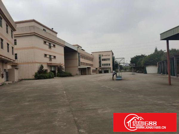 常平|常黄路独门独院厂房急租