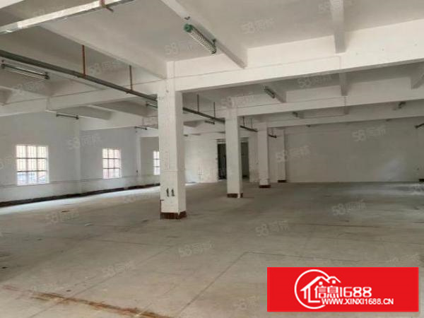 寮步岭厦原房东刚搬空每层810平，无公摊，采光好，通风好