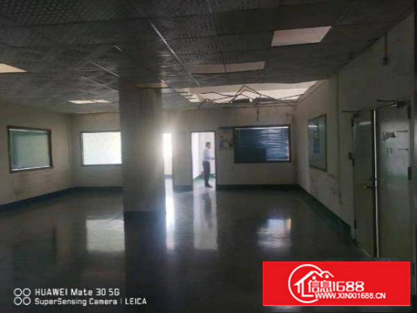 沙井大王山附近，全新地坪漆天花吊顶，随时看房