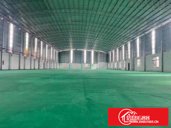 独门独院单一层厂房，大马路边