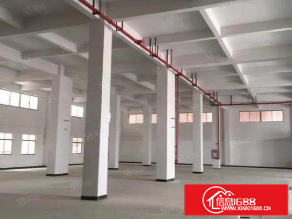 东坑镇角社工业区新出一楼标准厂房