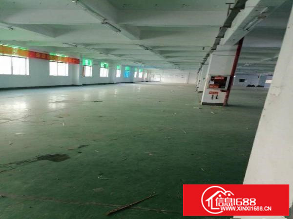 横岗安良1000平方厂房出租