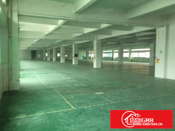 新出原房东豪华装修标准厂房