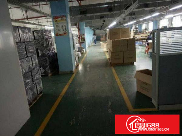 清溪林场新出楼上1600平方出租，带办公装修