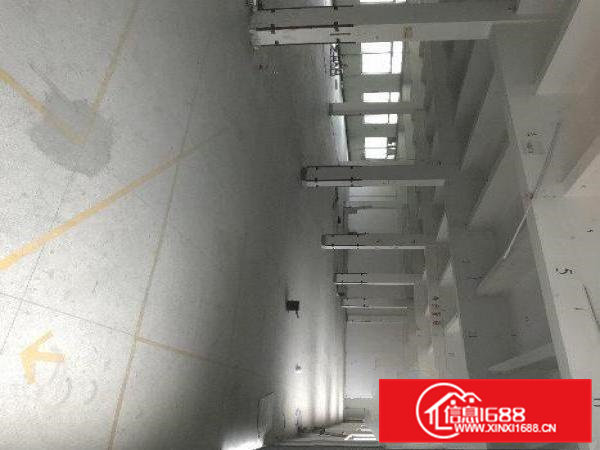 原房东原房东原房东独院厂房出租