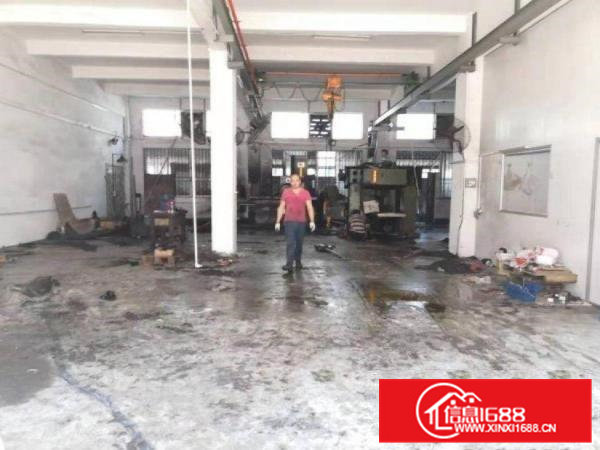 松柏朗新出1楼450平带办公室，车间水电齐全出租