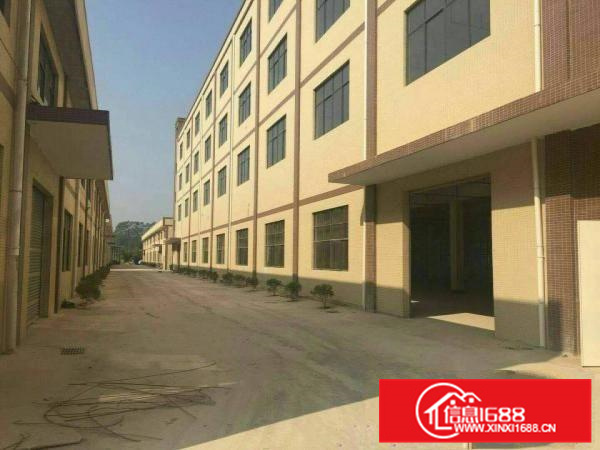 仲恺沥林原房东全新钢构厂房8000平方，10元分租