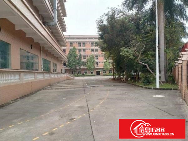 东莞大朗洋坑塘新空出30000平方厂房出租大小分租可办环保