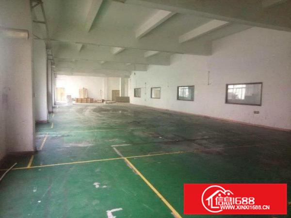 仲恺陈江独门独院4500平方标准厂房