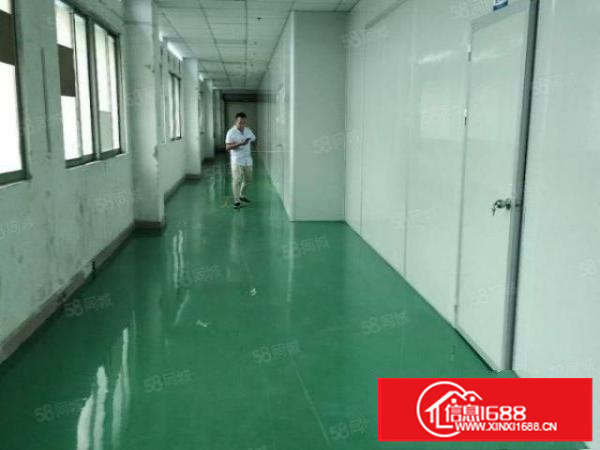 （速租）万江黄粘洲1700方水电全有精装办室交通方便