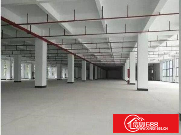 平湖新木村委标准一楼1500方园区管理进车方便招租