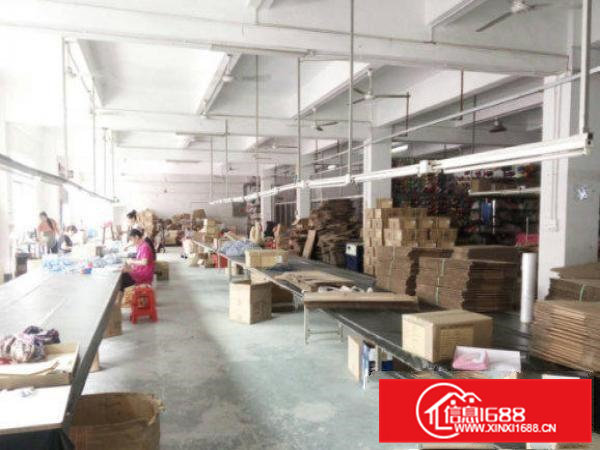 常平陈屋贝厂房一楼1300平