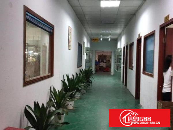 沙井沙头西环路边上楼厂房500平米