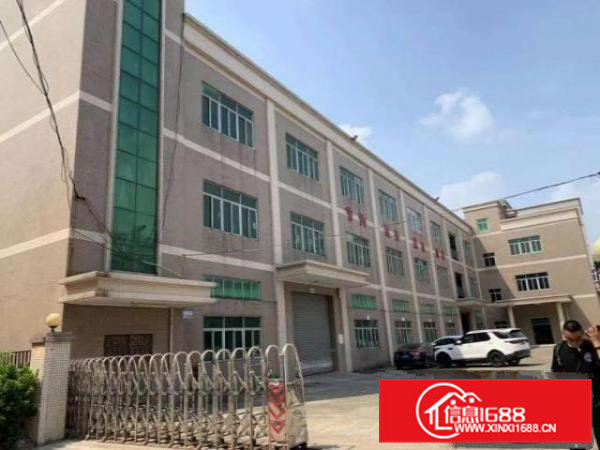 横沥新出原房东厂房出租