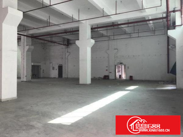 （便宜）常平镇中心区元江元工业区新空出一楼450平