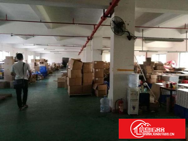 可办环评黄江靠深圳一二楼各1000带装修可分200