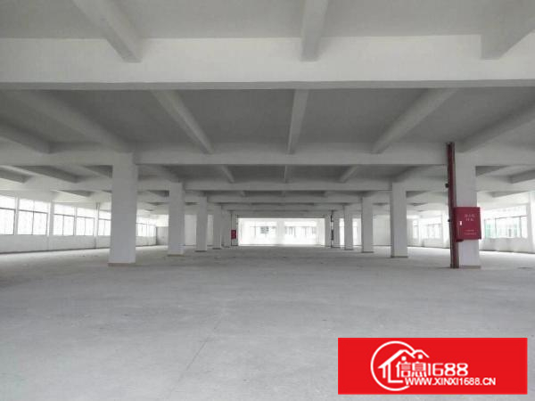 独栋形象好交通方便容桂标准6500方厂房出租