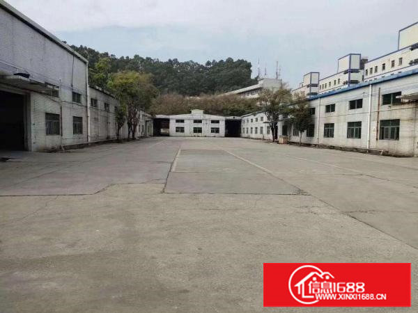 国土证红本，田心原房东25700平米园林式独院厂房，可分租