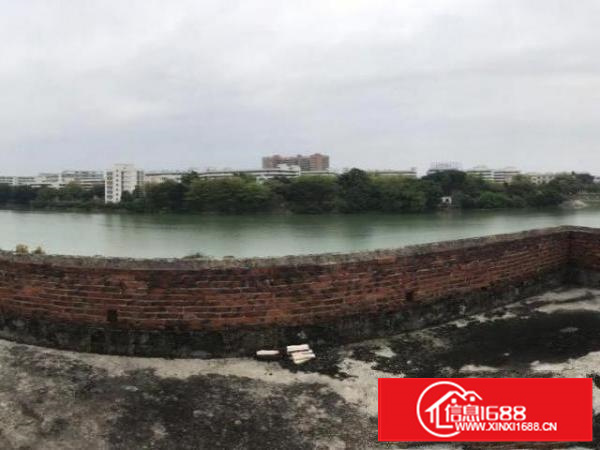 万江石美滘杯村一线江景私宅放租！